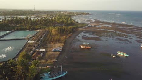 aerial backward shot of java shoreline with boats at low tide