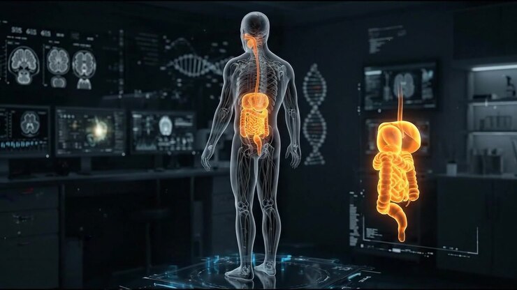 Precise standing body scan with the colon illuminated in warm orange in a detailed medical visualization
