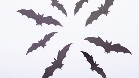 Animation-of-bats-on-white-background