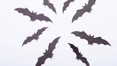 animation of bats on white background