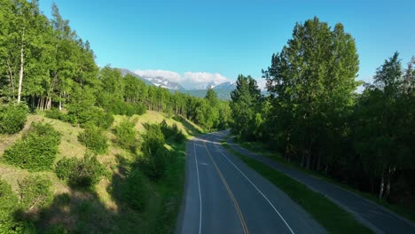 sol sobre el denso bosque junto a la carretera en anchorage, alaska
