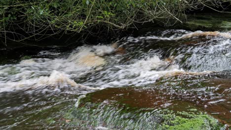 Slow-moving-forest-stream-waterfall,-nature's-serenity-scene-with-tranquil-pool-below,-lush-greenery-and-moss-covered-stones,-sense-of-peacefulness-and-untouched-beauty-of-nature-in-forest-ecosystem