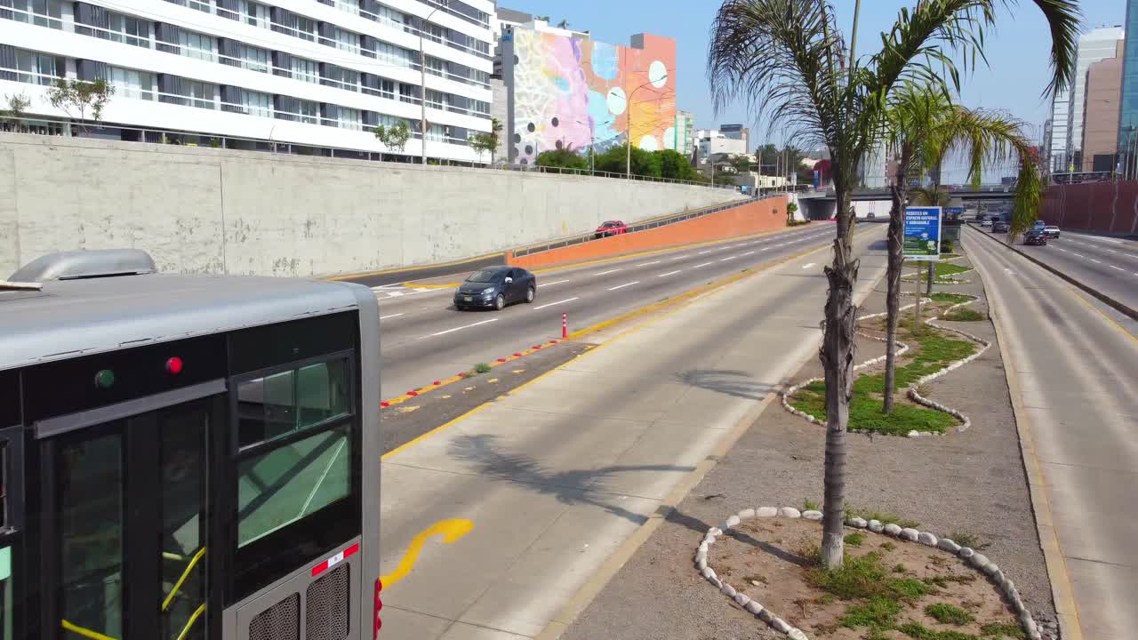 Tráfico circulando por una autopista urbana de varios carriles con palmeras