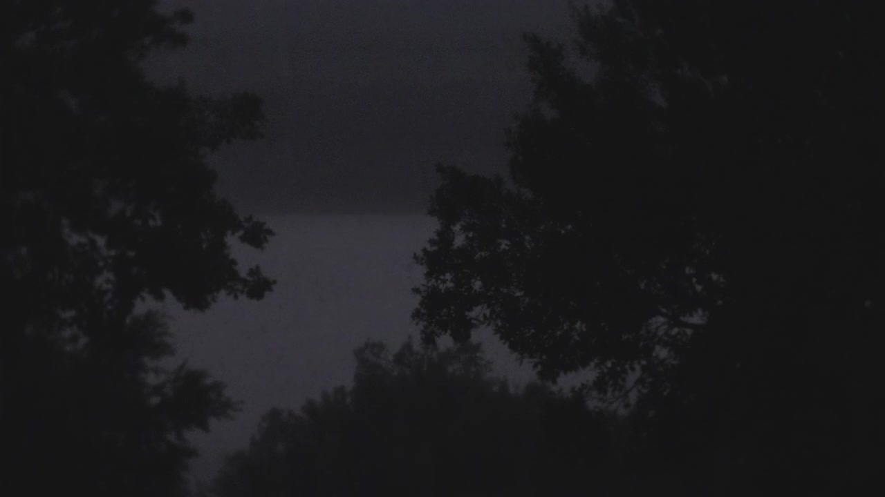 Pioggia che cade su alberi verdi alla luce del giorno