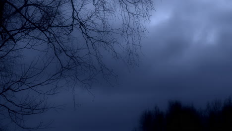 Beängstigender-Nachtsturm-Mit-Windgeschüttelten-Zweigen-In-Der-Ländlichen-Landschaft