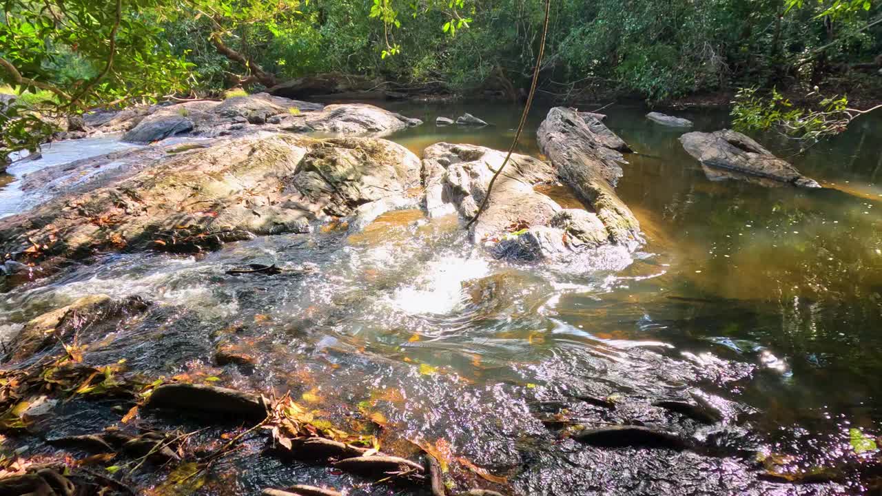 un arroyo iluminado por el sol que fluye sobre las rocas en el bosque