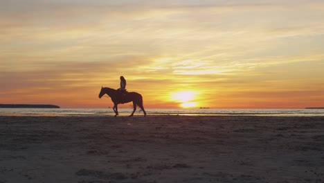 silueta de un jinete a caballo en la playa a la luz del atardecer. tiro amplio.