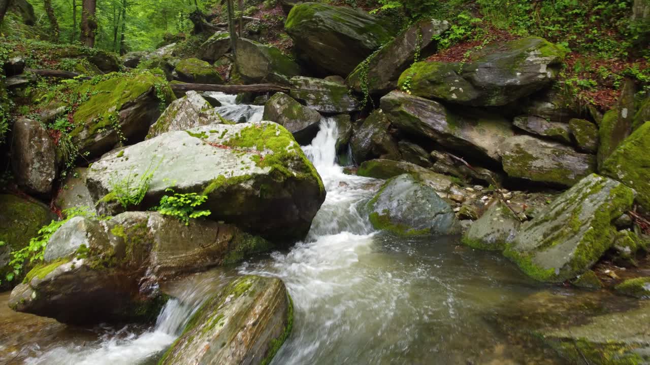 Crystal clear stream winding through the forest with small waterfalls in Bistriski Vintgar, Slovenia