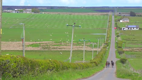 A-woman-leads-horses-down-a-country-lane-in-Northern-Scotland