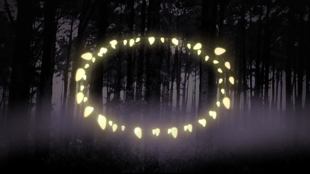 Animation of fairy light frame with copy space over fir trees and winter scenery