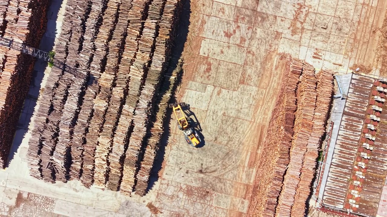 Wood processing area with stacked logs and equipment working