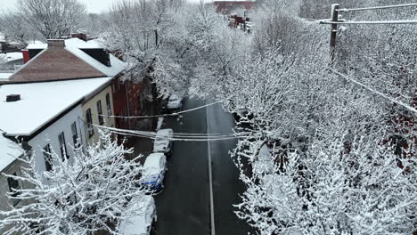 snow covered trees in american town