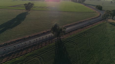 Vista-Aérea-De-Un-Grupo-De-Ciclistas-Compitiendo-En-La-Carrera-De-Engranajes-Y-Cervezas-Rodeado-De-Un-Hermoso-Paisaje-Rural-En-La-Ciudad-Rural-De-Wagga-Wagga-Nsw-Australia