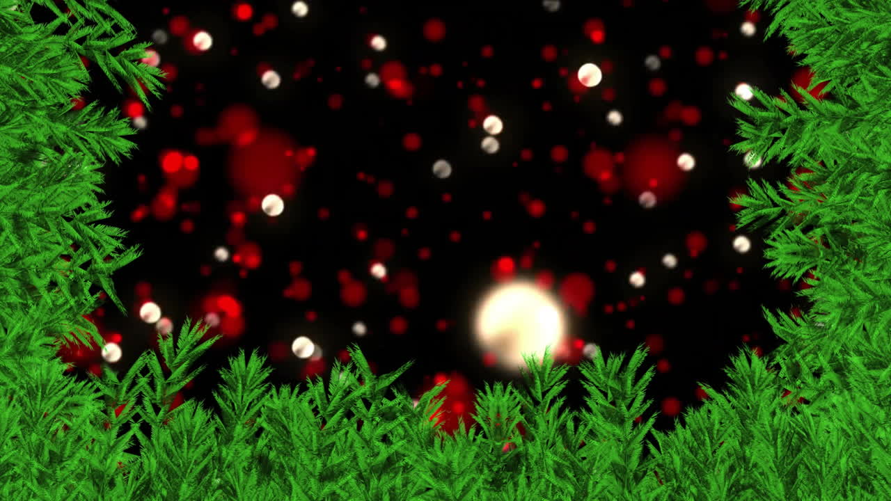Christmas lights animation over green pine branches on black background