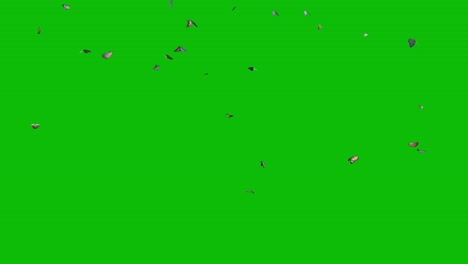 Visual-effects,-VFX,-butterflies-flying-from-above-on-green-screen-3D-animation