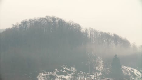 Rain-fall-on-forest-pine-tree-in-winter-day,-fog-motion-over-mountain