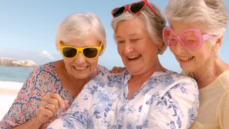 Freunde-Frau-Macht-Selfie-Am-Strand