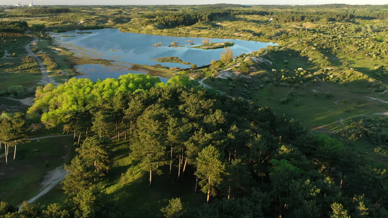 Ujęcie lotnicze cofające się nad Parkiem Narodowym Kennemerland