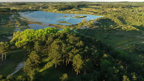 aerial flying backwards over national park kennemerland