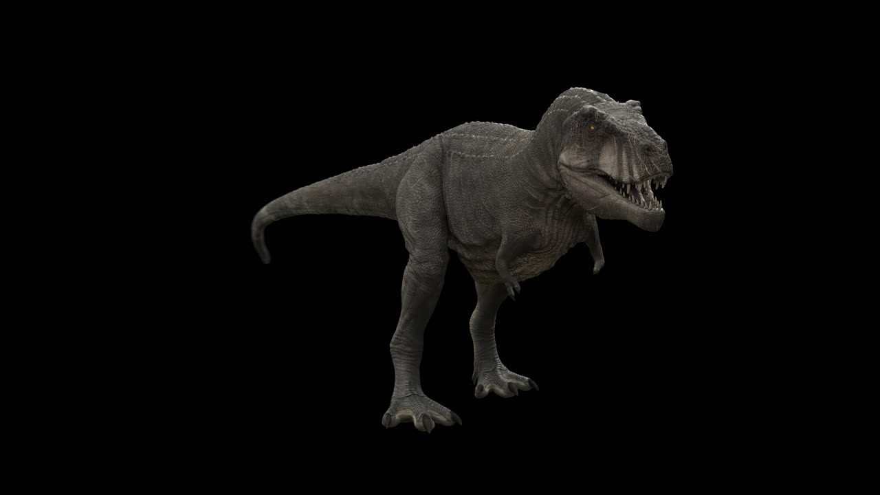 공 트렉스 루프는 알파 채널로 고 있습니다.