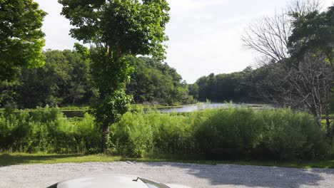 the line of trees and plants between a gravel lot and a lagoon