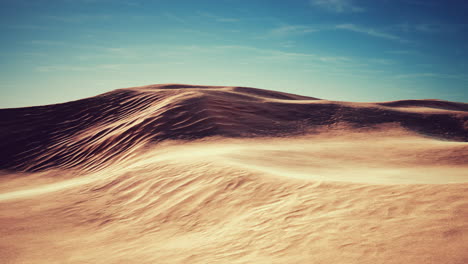 beautiful sand dunes in the sahara desert