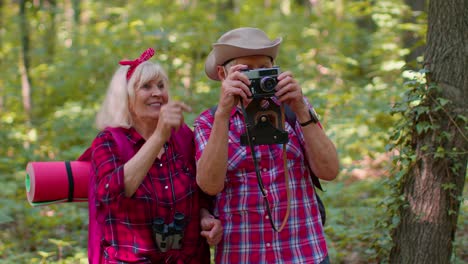 senior old grandmother grandfather tourists walking with backpacks taking photos with camera in wood