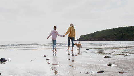 Mutter-Und-Tochter-Spielen-Im-Strandurlaub-Mit-Hund-In-Wellen