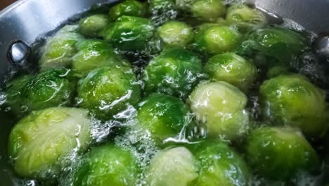 Fresh-green-Brussel-Sprouts-Close-up.