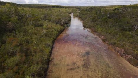 Aerial-clip-overhead-following-a-pristine-river-in-outback-Cape-York,-Australia