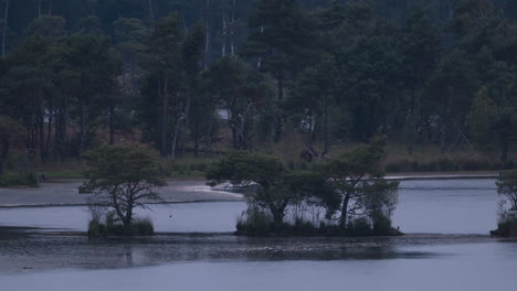 Beautiful-forest-and-lake-island-on-dark-and-moody-day,-pan-right-time-lapse