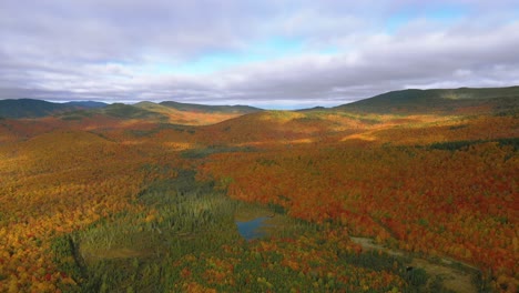 Aerial-footage-flying-to-the-right-high-over-a-small-pond-in-a-golden-autumn-forest-with-cloud-shadows