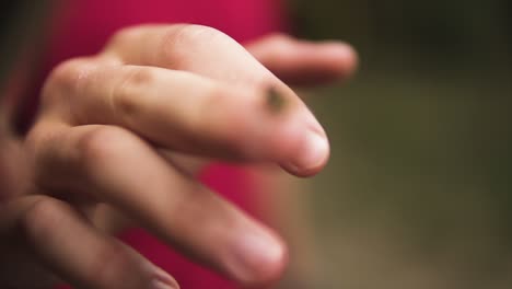 bee on the finger with blurred backround