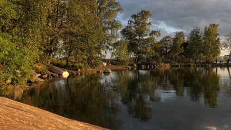 bahía de agua tranquila con árboles y reflejo, hora dorada del atardecer