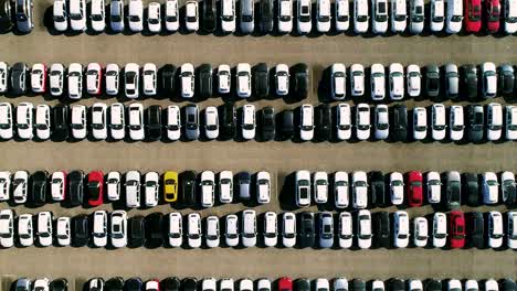 Aerial-footage-of-finished-cars-ready-to-be-shipped-on-huge-distribution-center