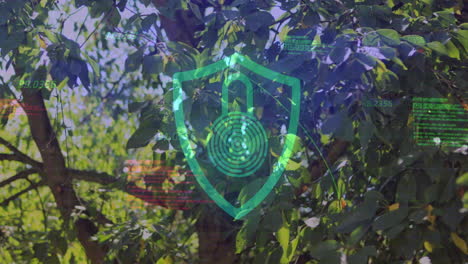 digital shield icon overlay being animated over leafy forest, scanning floating data and code text