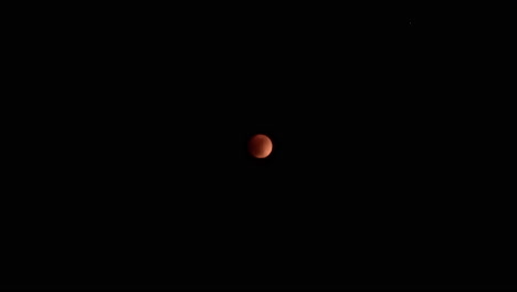 Súper-Luna-De-Sangre-En-El-Cielo-Nocturno-Oscuro