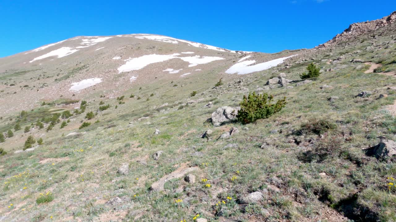 toma panorámica de mt rosalie y el sendero tanglewood por encima de la línea de árboles