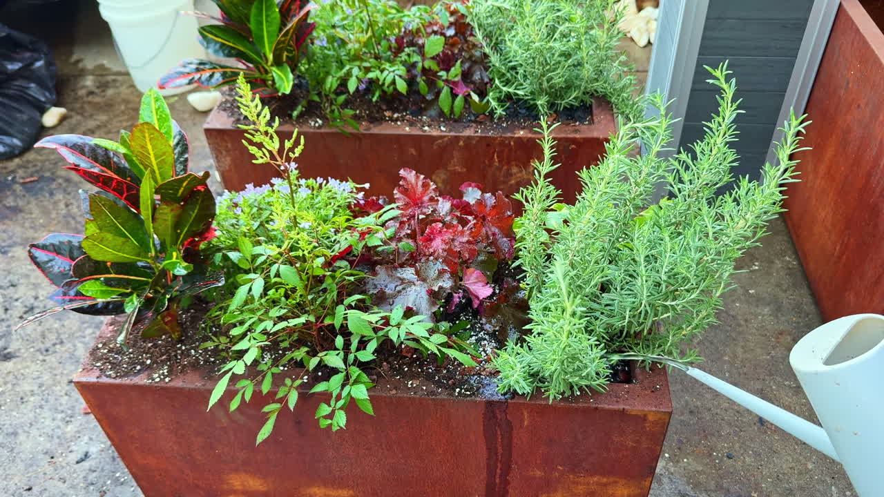 都市の昼間、様々なハーブや観葉植物が育つガーデンボックスに水やりをする様子。