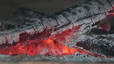 troncos de madera ardiendo dentro de un horno rústico