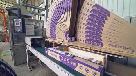industrial equipment for the production of laminate. furniture factory production line. the factory for the production of laminate.