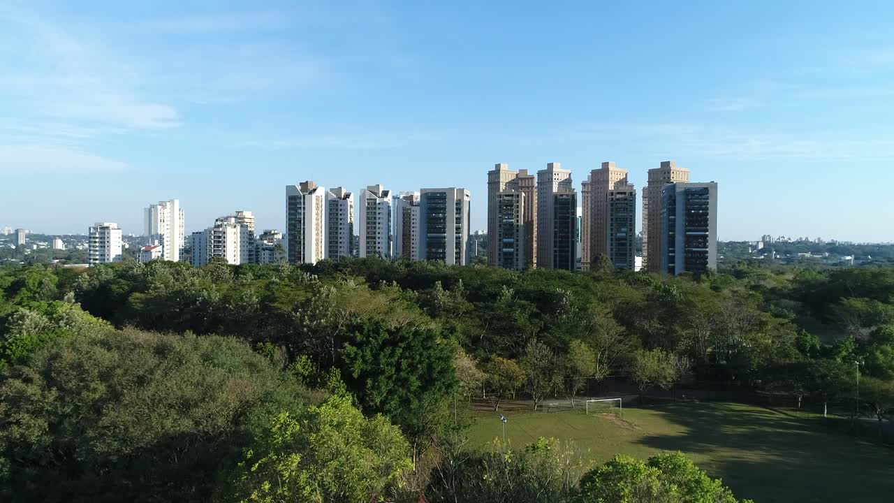 Drone climbing through the trees in a beautiful public park revealing some buildings in the background and a beautiful landscape