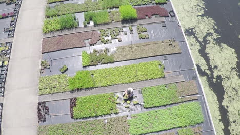 drone lifting up from active nursery garden