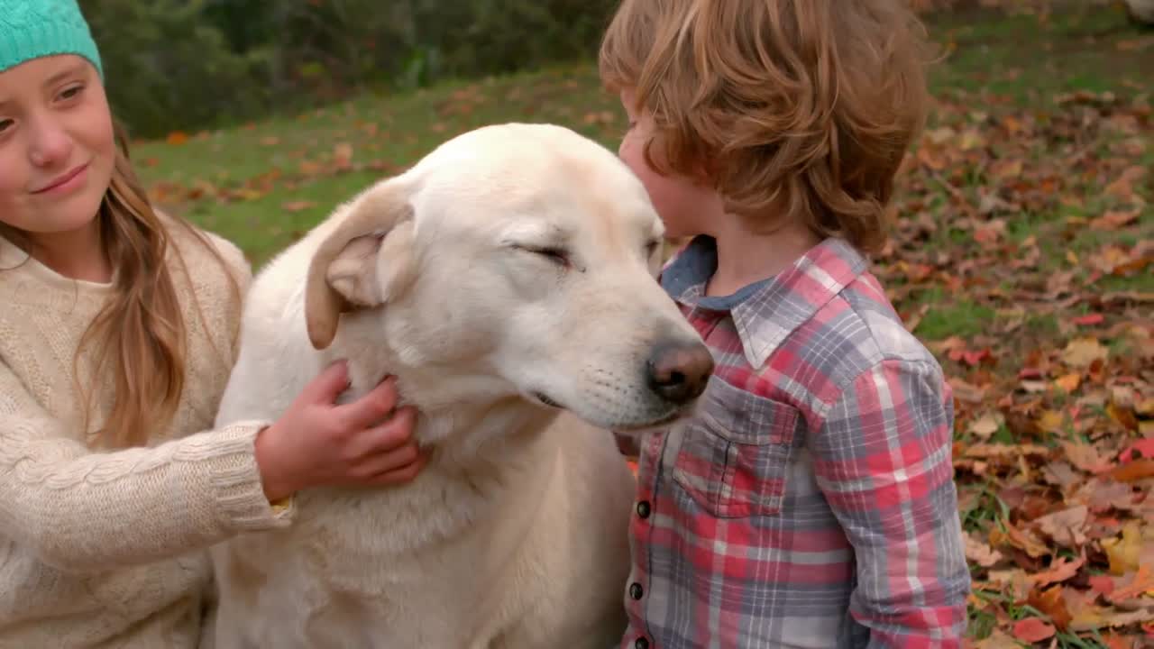 hermanos felices divirtiéndose juntos