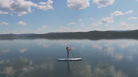 aerial view of girl in purple swimsuit doing paddle surfing in the sea