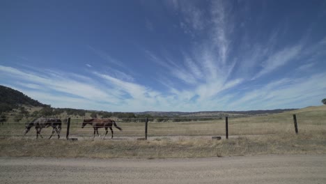 Weitwinkel-Cirrostratus-Wolken-Am-Blauen-Himmel-Mit-Zwei-Pferden,-Die-Aus-Dem-Rahmen-Gehen,-Und-Einem-Vogel,-Der-In-Und-Aus-Dem-Rahmen-Fliegt