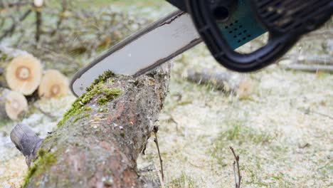 person using electric chainsaw to cut tree trunk, flying wood dust in air