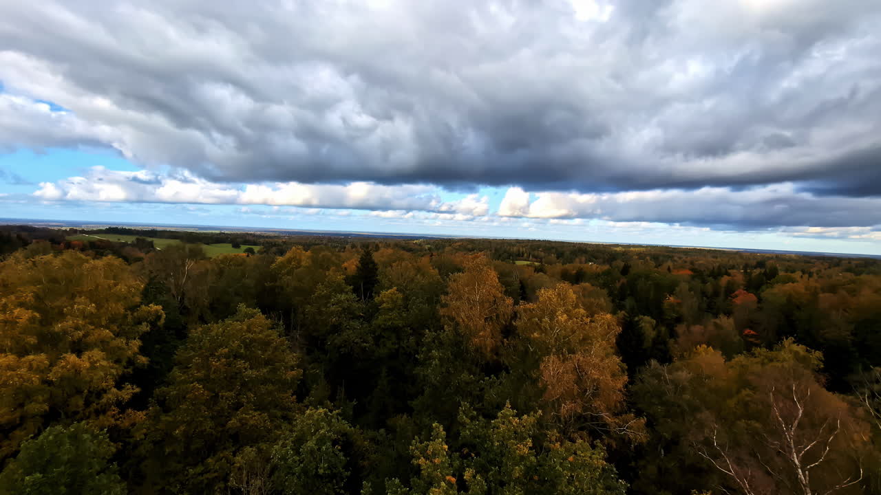 Autumn forest in Kuldīga, beneath dramatic clouds with vibrant golden seasonal foliage