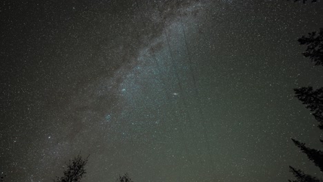 milky way and bright shimmering grats in the night sky, dark silhouettes of the tall trees in the foreground timelapse video