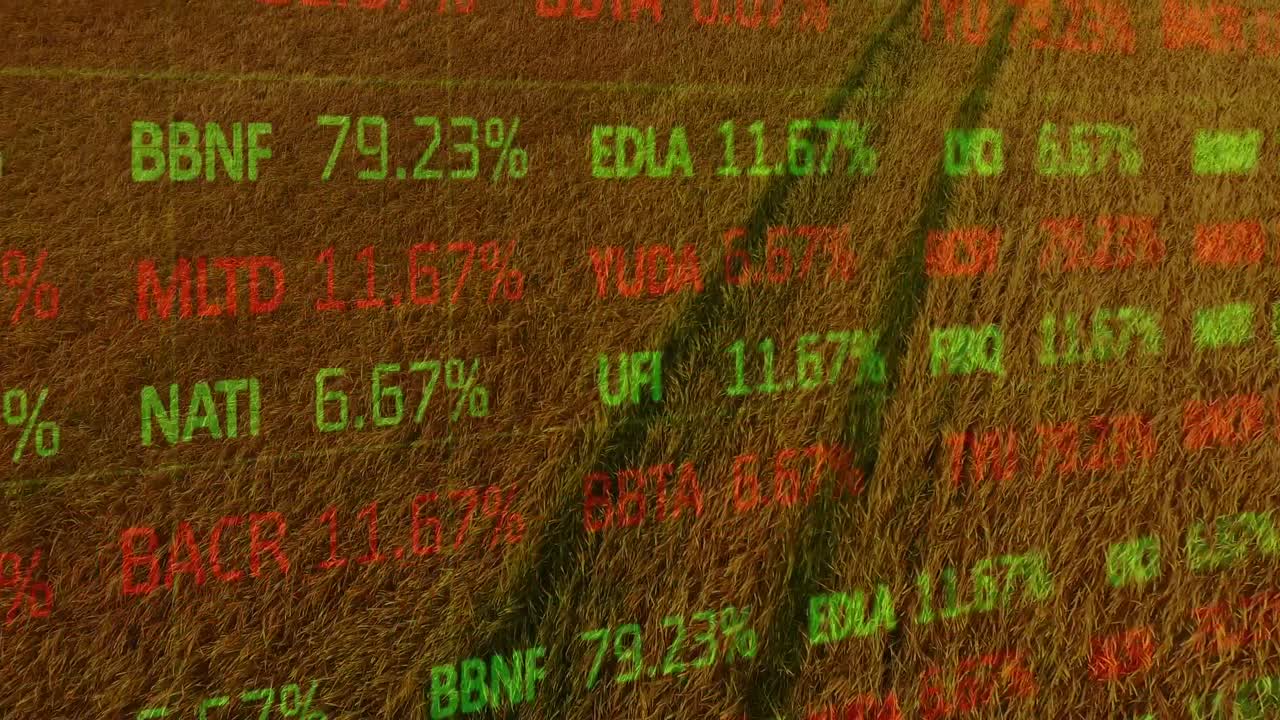 Animation der Finanzdatenverarbeitung über einem Agrarfeld